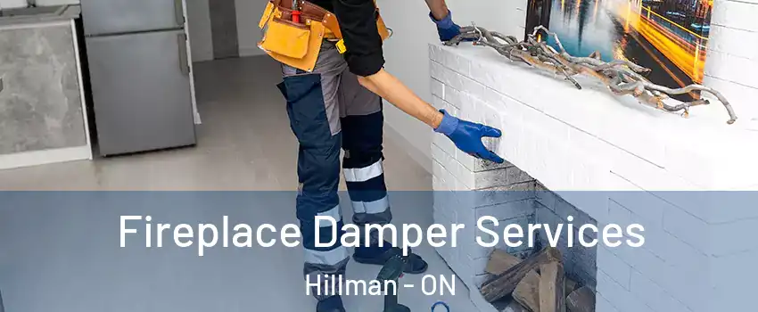  Fireplace Damper Services Hillman - ON