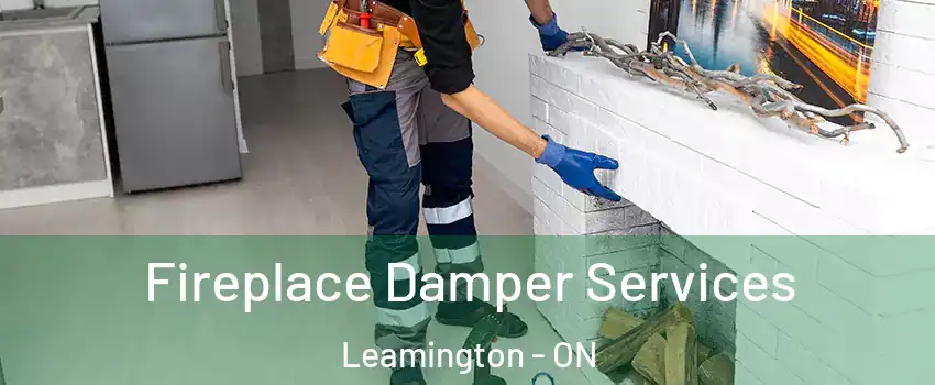  Fireplace Damper Services Leamington - ON