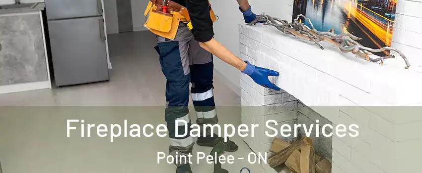  Fireplace Damper Services Point Pelee - ON