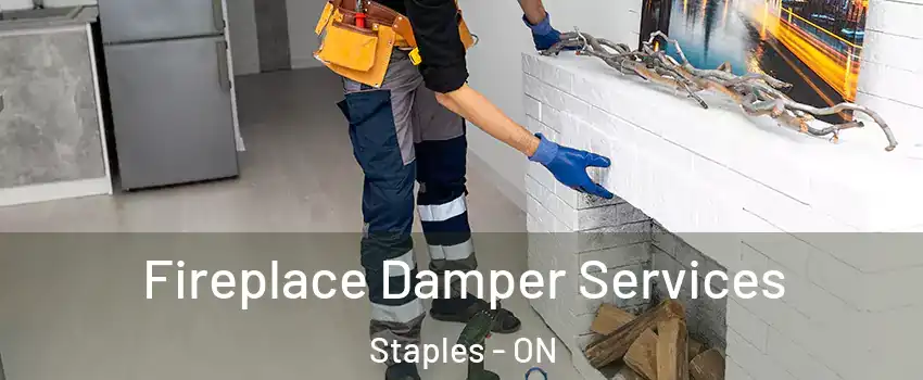  Fireplace Damper Services Staples - ON