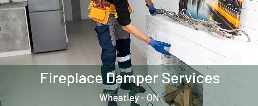  Fireplace Damper Services Wheatley - ON
