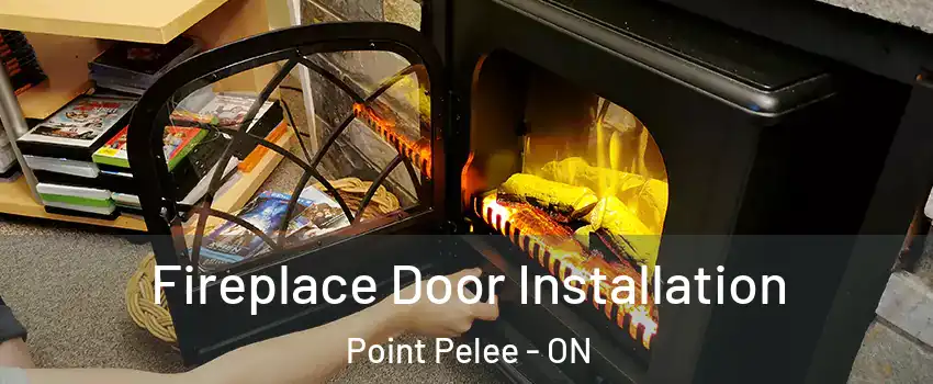  Fireplace Door Installation Point Pelee - ON