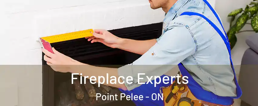  Fireplace Experts Point Pelee - ON