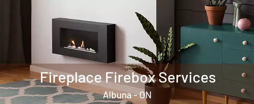  Fireplace Firebox Services Albuna - ON