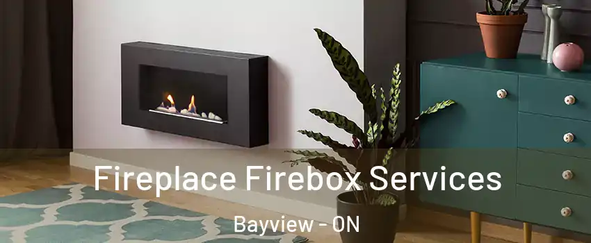  Fireplace Firebox Services Bayview - ON