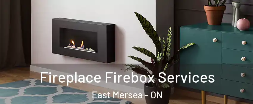  Fireplace Firebox Services East Mersea - ON