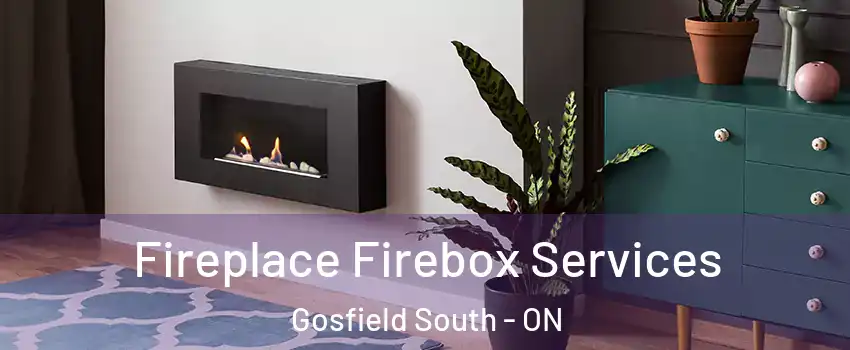  Fireplace Firebox Services Gosfield South - ON
