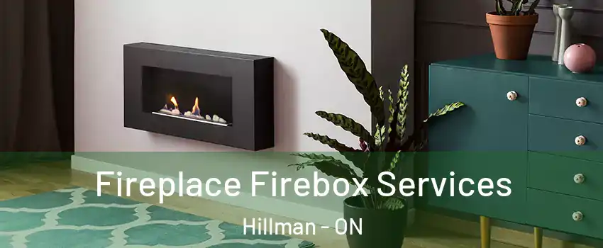  Fireplace Firebox Services Hillman - ON