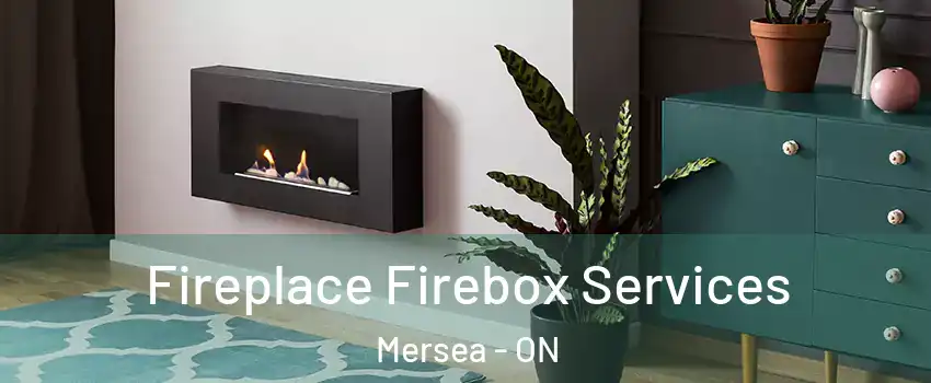  Fireplace Firebox Services Mersea - ON