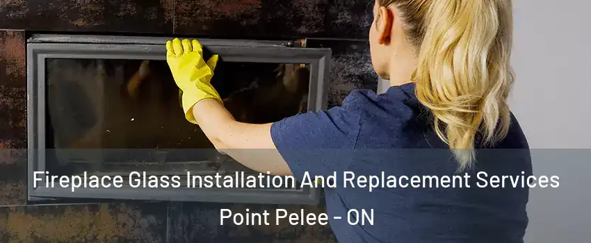  Fireplace Glass Installation And Replacement Services Point Pelee - ON