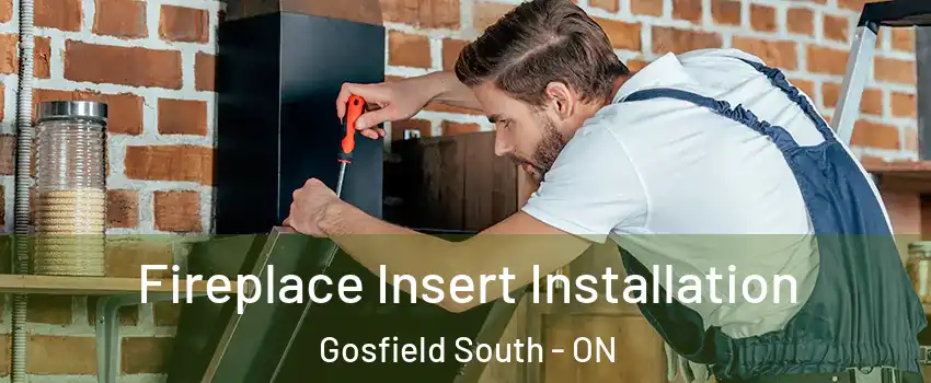  Fireplace Insert Installation Gosfield South - ON