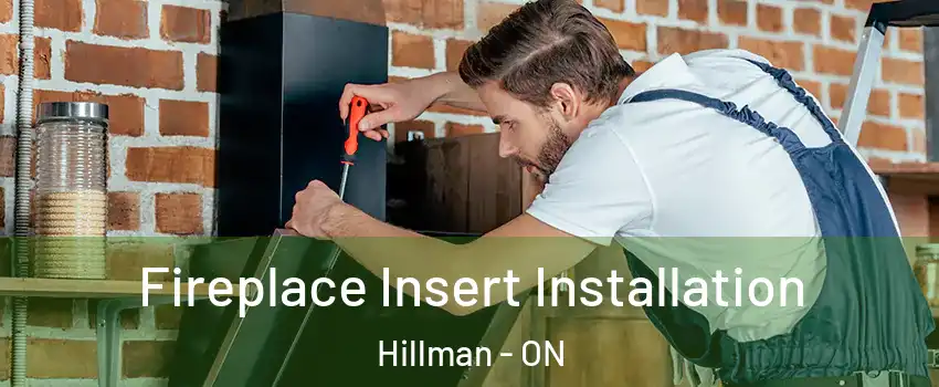  Fireplace Insert Installation Hillman - ON