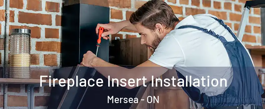  Fireplace Insert Installation Mersea - ON
