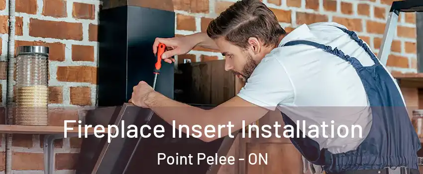  Fireplace Insert Installation Point Pelee - ON