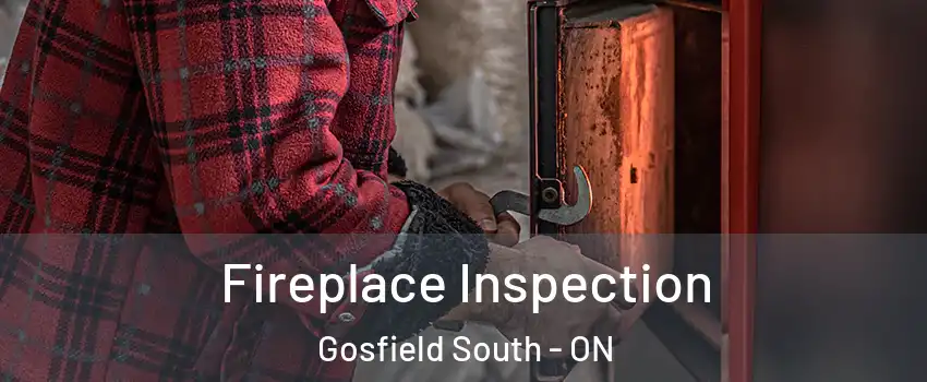  Fireplace Inspection Gosfield South - ON