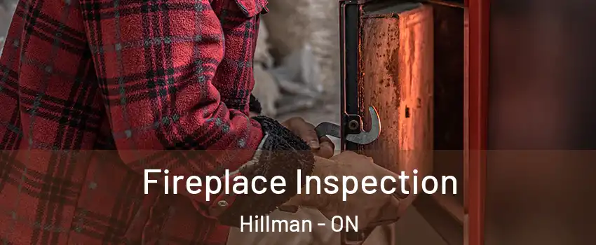  Fireplace Inspection Hillman - ON
