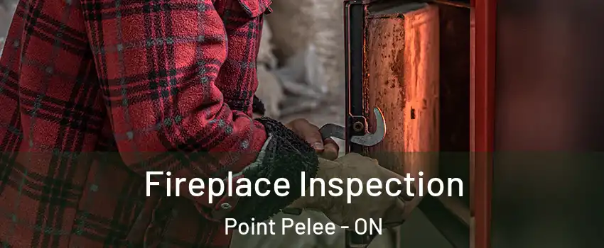  Fireplace Inspection Point Pelee - ON