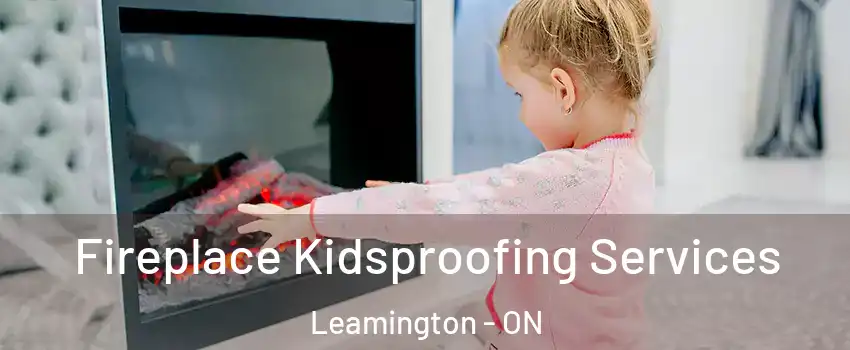  Fireplace Kidsproofing Services Leamington - ON