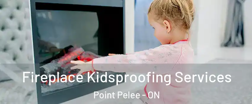  Fireplace Kidsproofing Services Point Pelee - ON