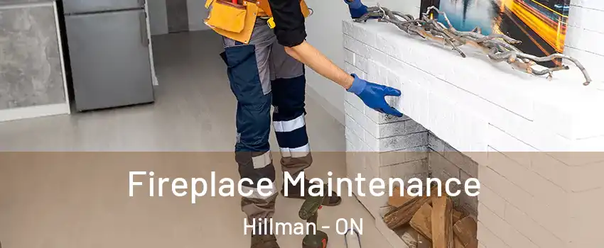 Fireplace Maintenance Hillman - ON