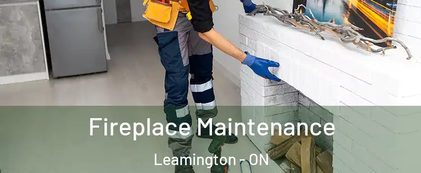  Fireplace Maintenance Leamington - ON