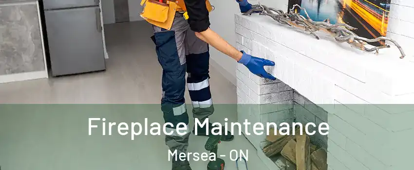  Fireplace Maintenance Mersea - ON