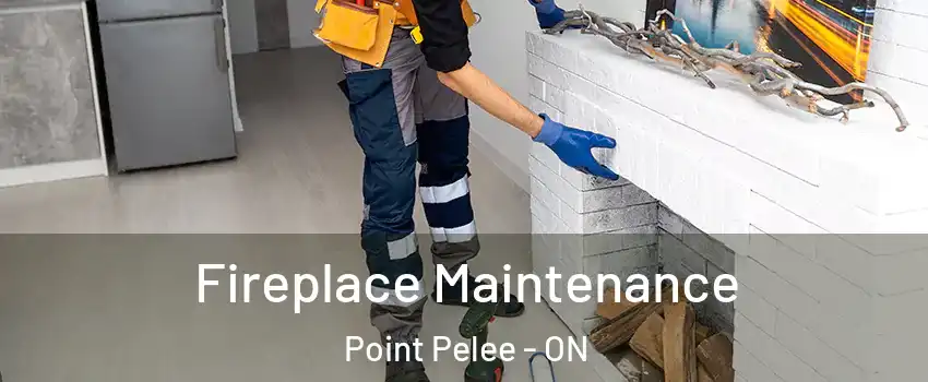  Fireplace Maintenance Point Pelee - ON