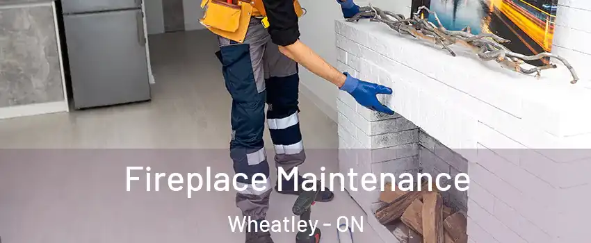  Fireplace Maintenance Wheatley - ON