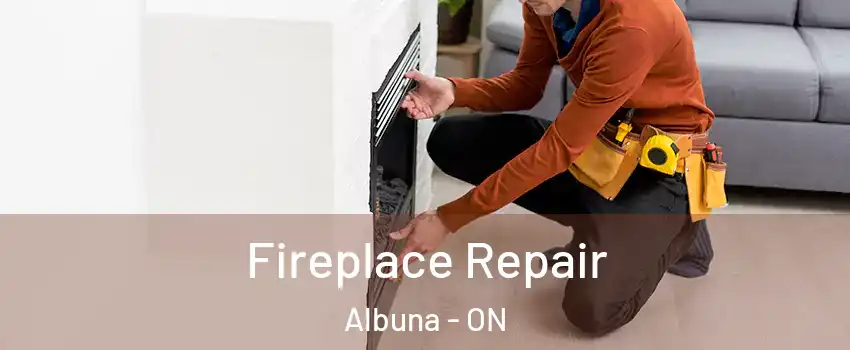  Fireplace Repair Albuna - ON