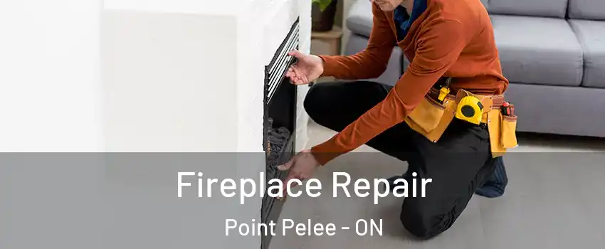  Fireplace Repair Point Pelee - ON