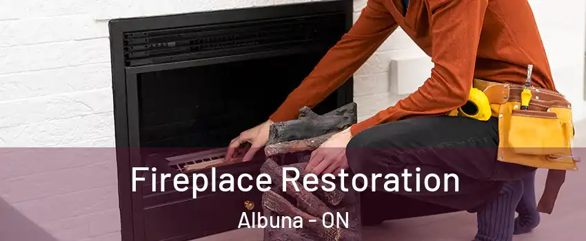  Fireplace Restoration Albuna - ON