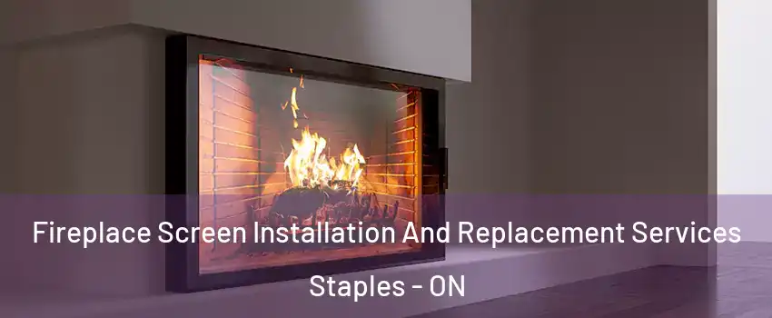 Fireplace Screen Installation And Replacement Services Staples - ON