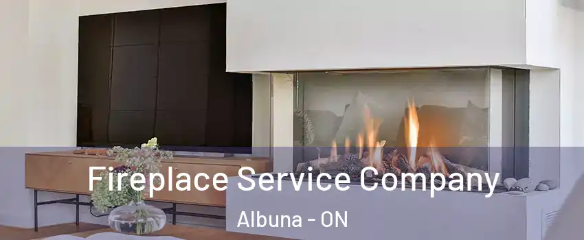  Fireplace Service Company Albuna - ON