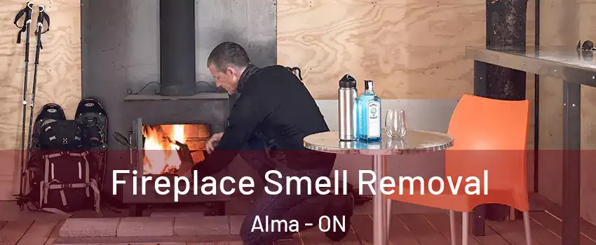  Fireplace Smell Removal Alma - ON