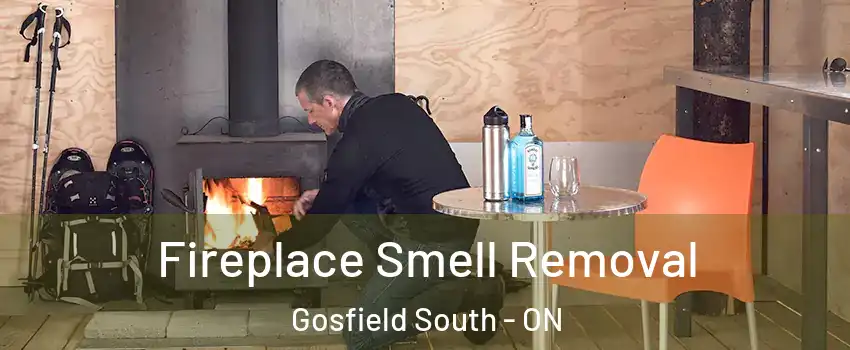  Fireplace Smell Removal Gosfield South - ON
