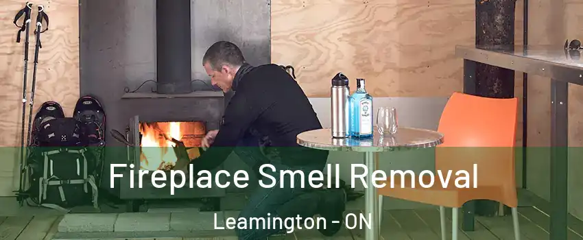  Fireplace Smell Removal Leamington - ON