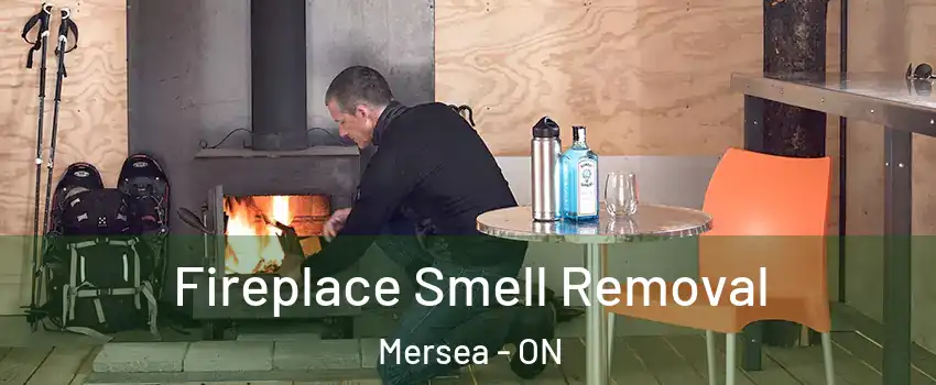  Fireplace Smell Removal Mersea - ON