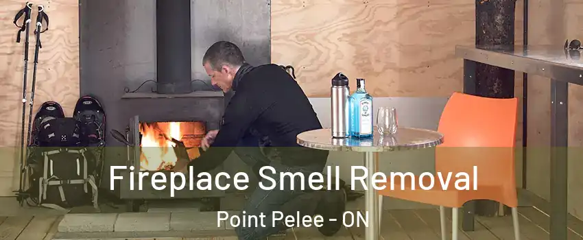  Fireplace Smell Removal Point Pelee - ON