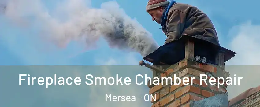  Fireplace Smoke Chamber Repair Mersea - ON