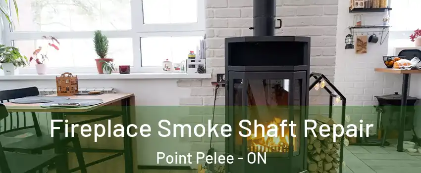  Fireplace Smoke Shaft Repair Point Pelee - ON