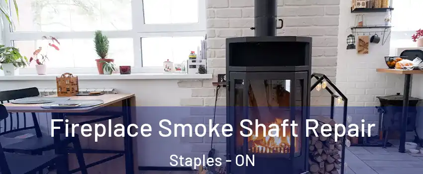  Fireplace Smoke Shaft Repair Staples - ON