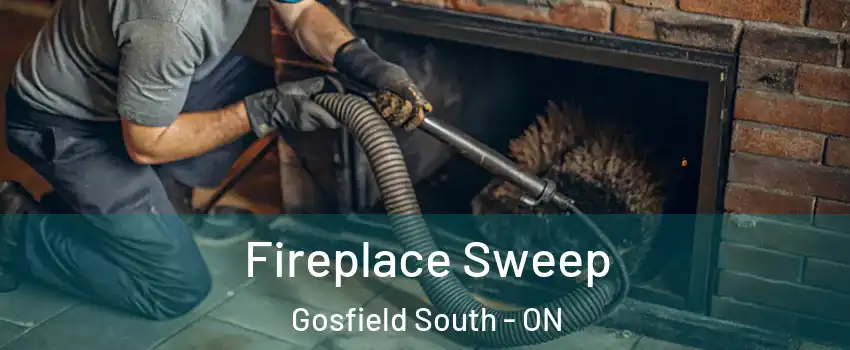  Fireplace Sweep Gosfield South - ON