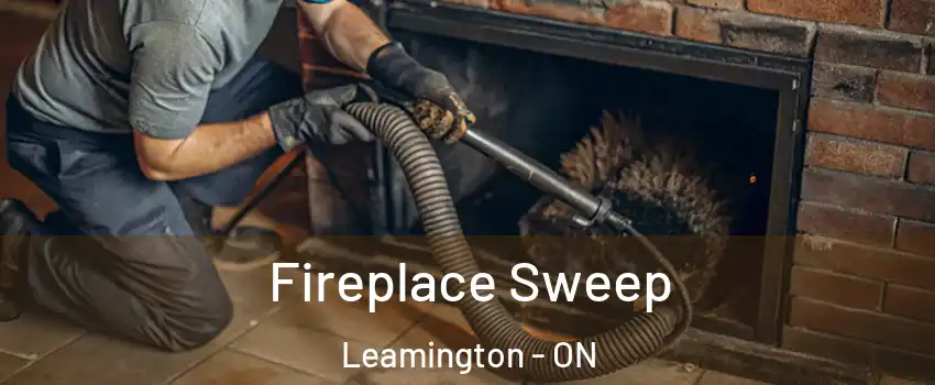  Fireplace Sweep Leamington - ON