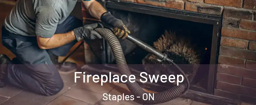  Fireplace Sweep Staples - ON