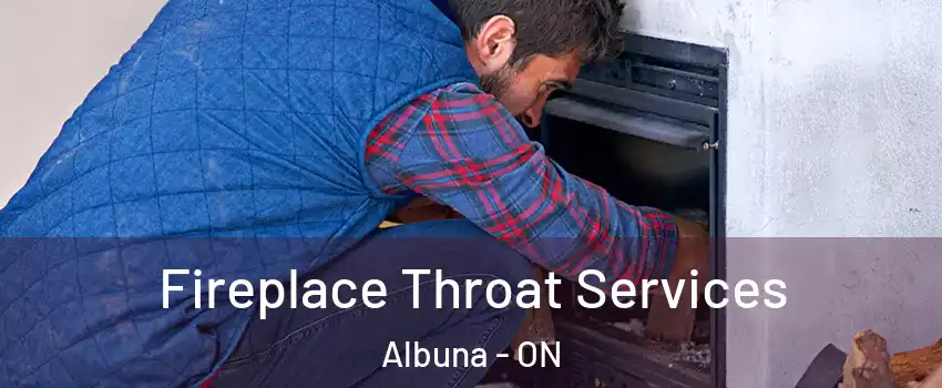  Fireplace Throat Services Albuna - ON