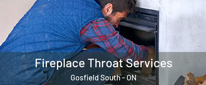  Fireplace Throat Services Gosfield South - ON