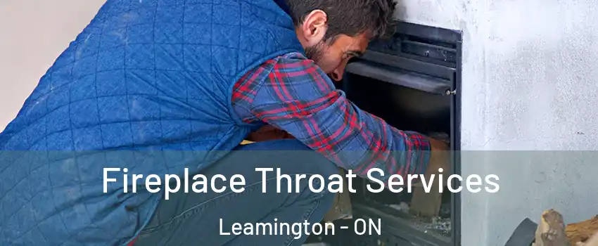  Fireplace Throat Services Leamington - ON