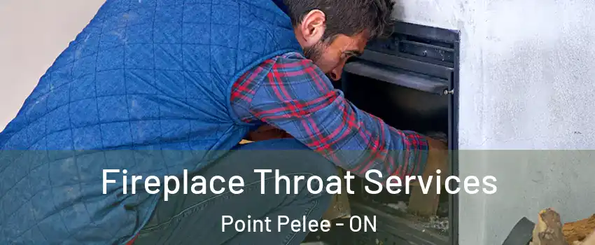 Fireplace Throat Services Point Pelee - ON