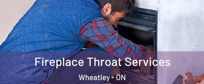  Fireplace Throat Services Wheatley - ON