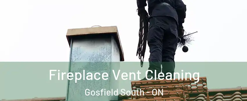  Fireplace Vent Cleaning Gosfield South - ON